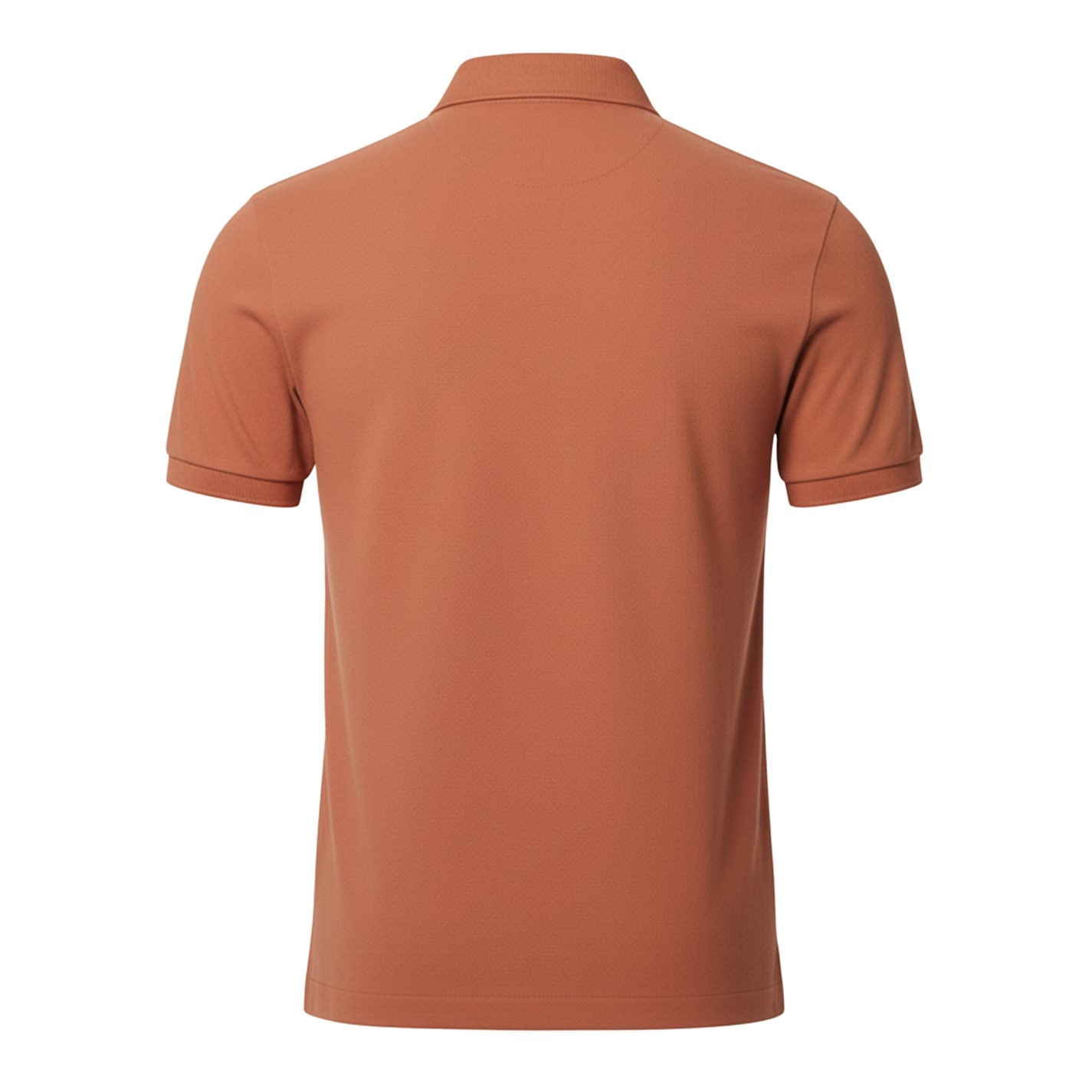 33667808_xxl_a1.jpg