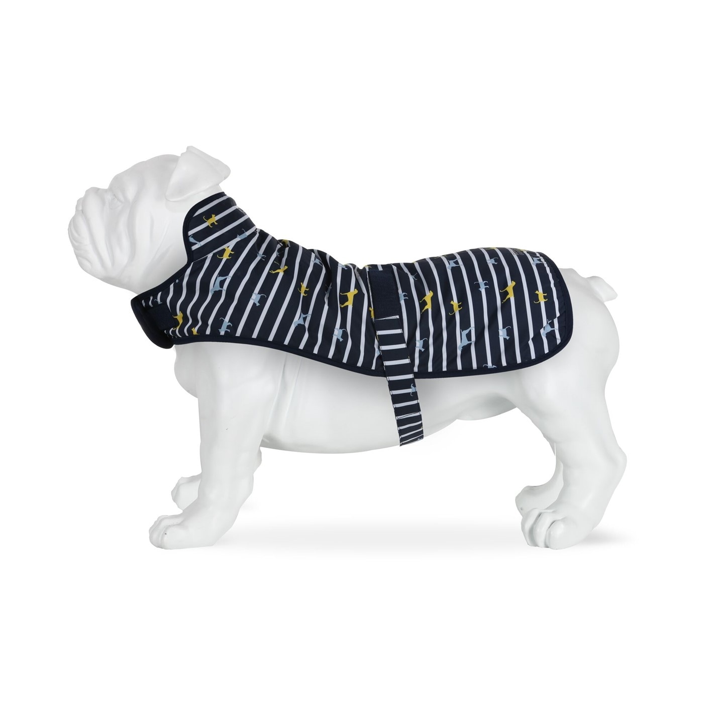 Regatta Arlo - Giacca da passeggio per cani