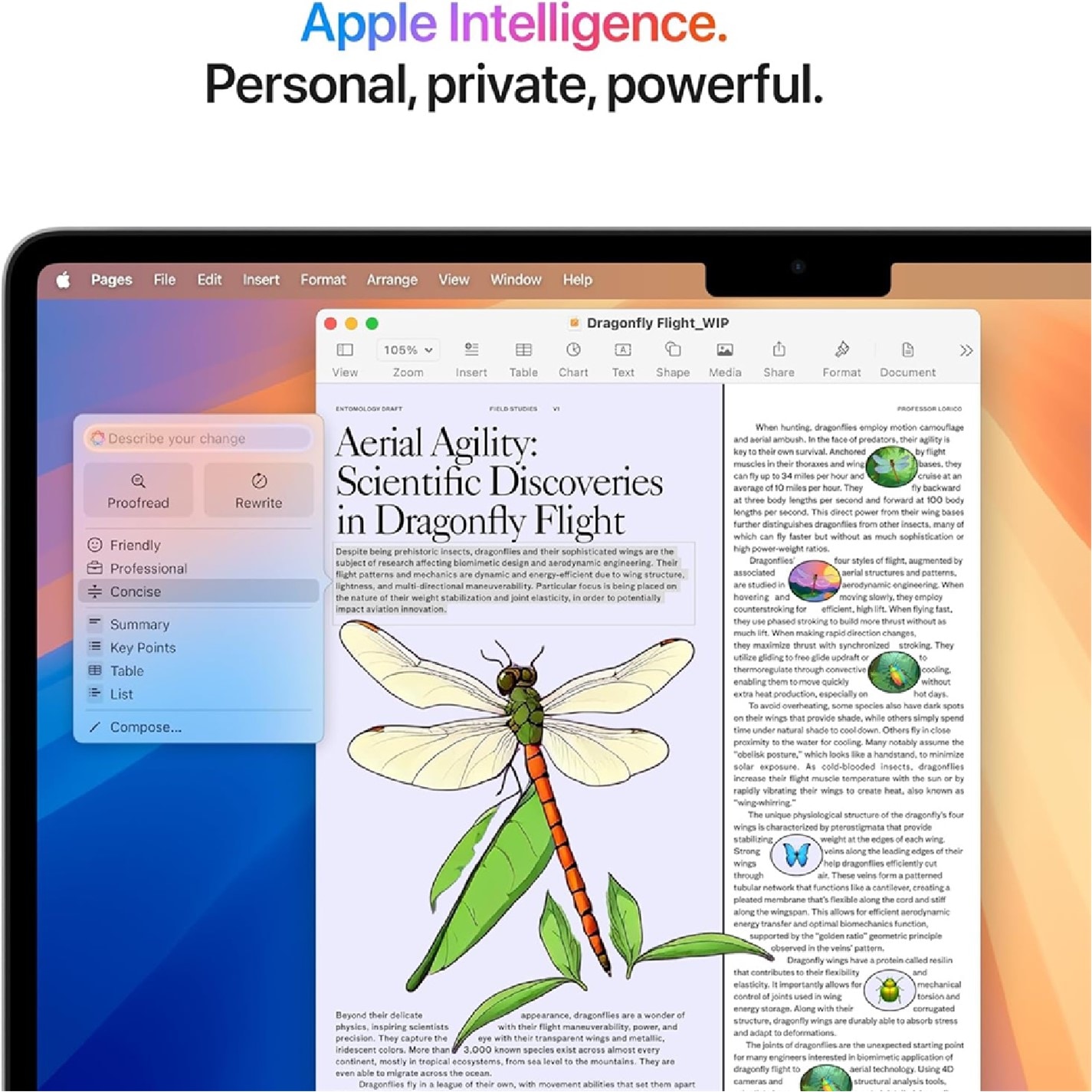 Apple | Macbook Air 13 M4 10/10 Core 16GB 512GB (2025) | Laptops