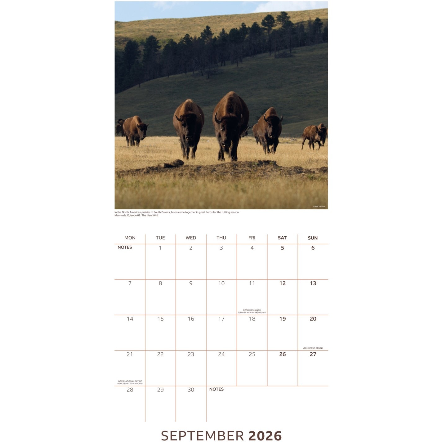 BBC | BBC EARTH 2026 SQUARE CALENDAR | Multi | SportsDirect.com