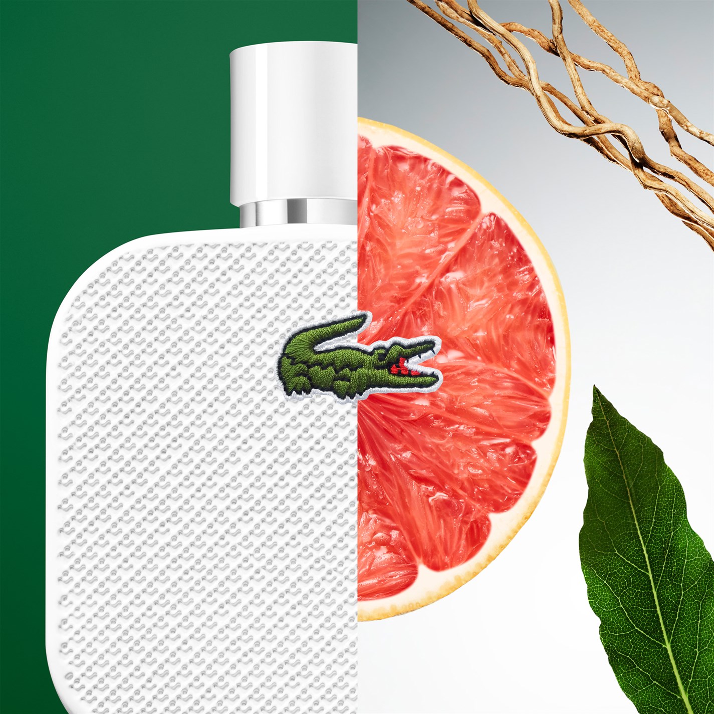 Lacoste L.12.12 Blanc Eau de Toilette | SportsDirect.com USA