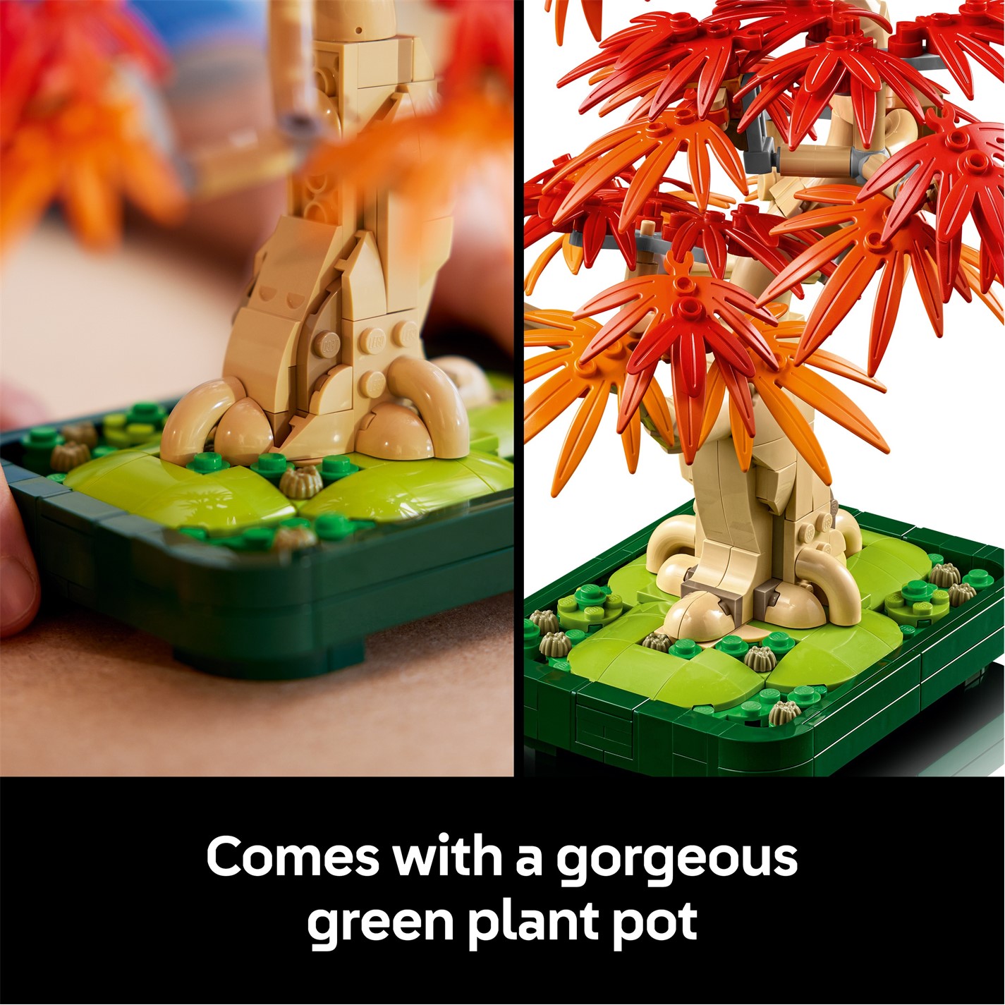 LEGO LEGO® Botanicals Japanese Red Maple Bonsai Tree Plant Decor