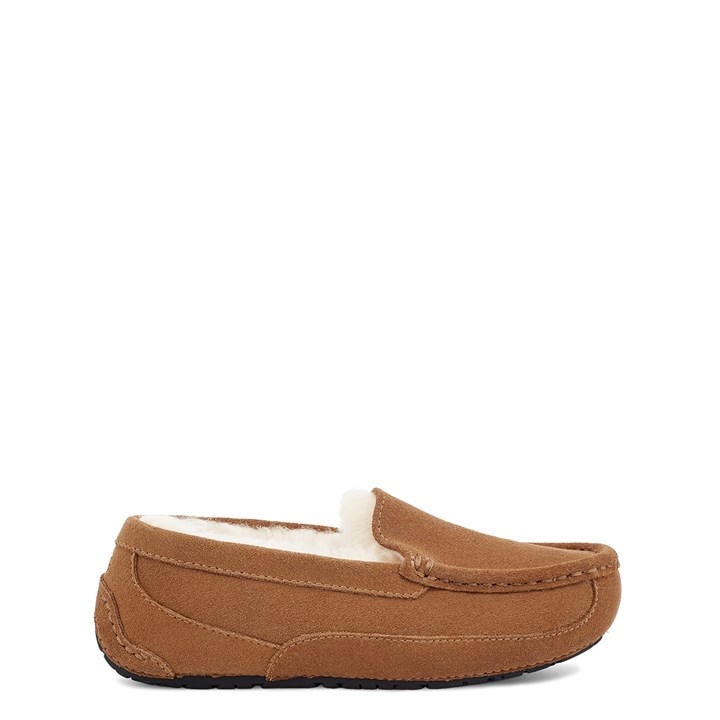 Ugg Boys Brown Kids' Ascot Suede Sheepskin Mule Slippers in Size C12, Sports Direct