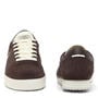DK BRW/OFF WHT - Lacoste - Mens Aura Suede Sneakers