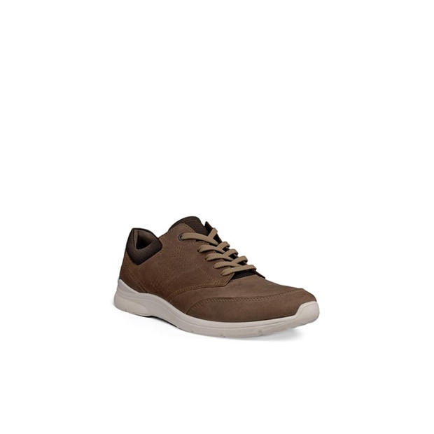 Nutmeg Brown - Ecco - Men's Low-Top Trainers