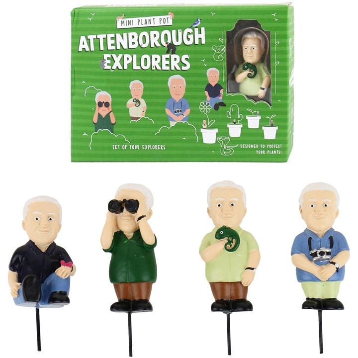 Gift Republic  Green Attenborough Plant Marker, Sports Direct