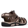 Taupe/Sand - Hi Tec - Hi Cove Sport Mens Walking Sandals