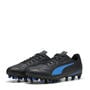 Blk/Ultra Blue - Puma - Men's Firm Ground Football Boots