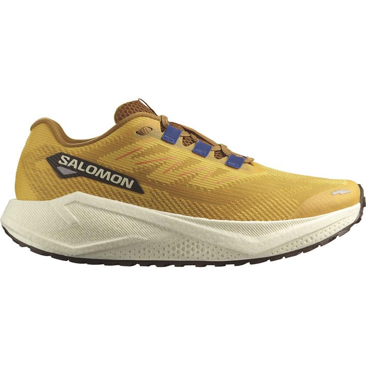 Salomon Men's Yellow Aero Blaze 3 Trail Running Shoes in Size 9, Sports Direct