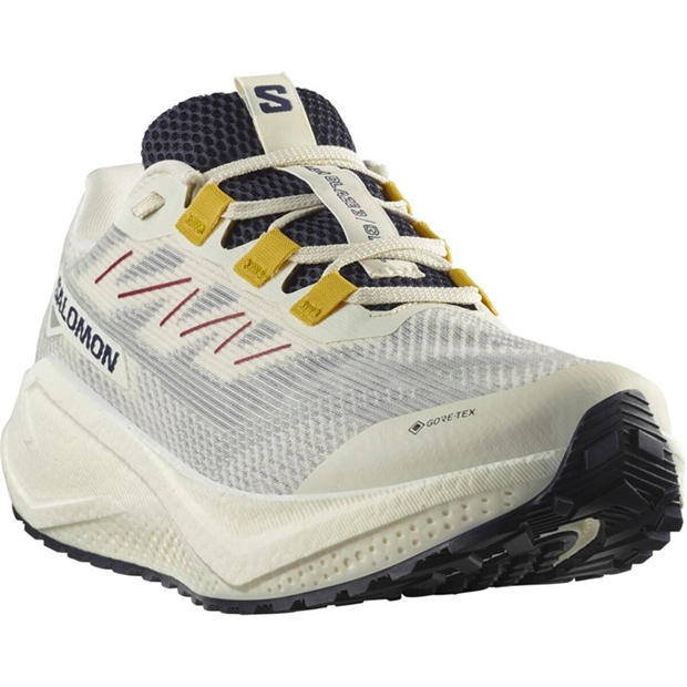 Vanilla/Astra - Salomon - Shoes Aero Blaze 3 Grvl Gtx Vanila/Astra Trail Running Mens