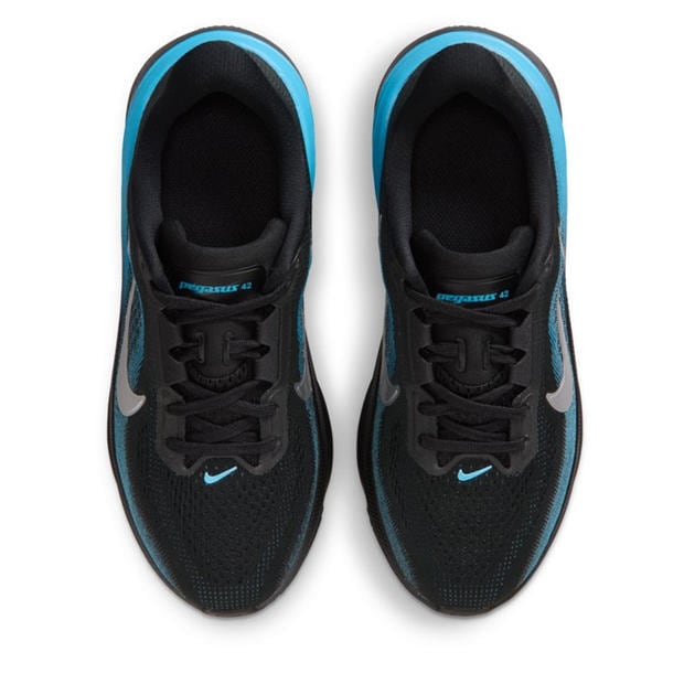 Black/Metallic - Nike - Nike Pegasus 42 NN Ch71