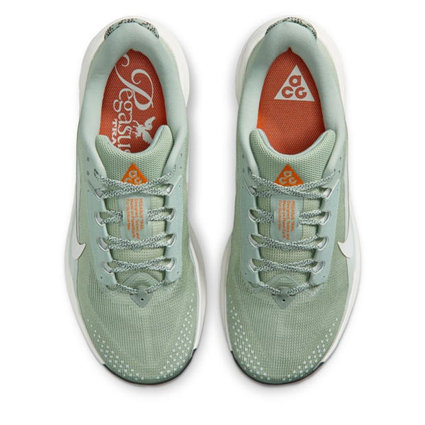 Jade Horizon - Nike - Mens Nike Pegaus 42s Running Shoes