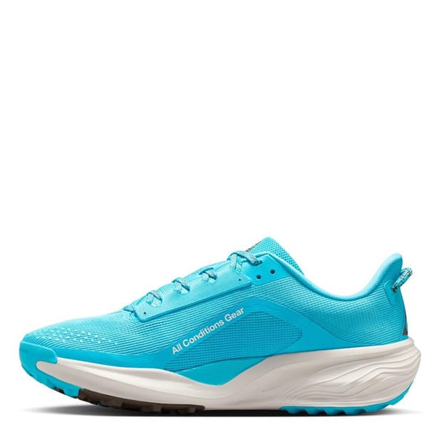 Baltic Blue - Nike - Mens Nike Pegaus 42s Running Shoes