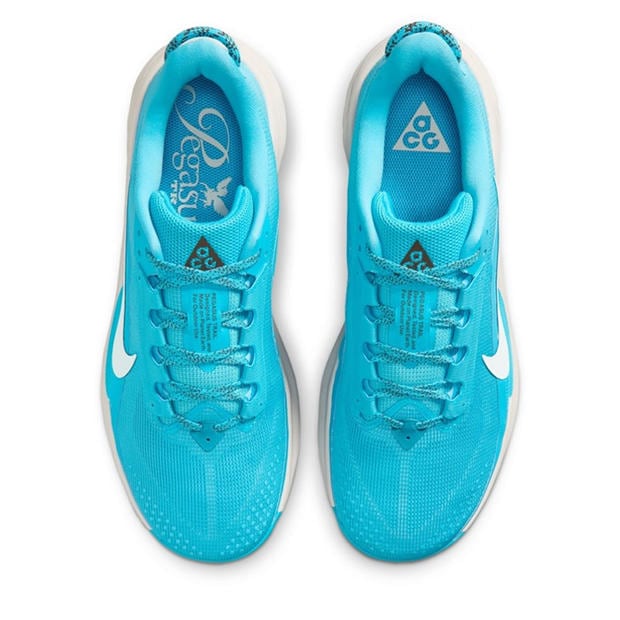 Baltic Blue - Nike - Mens Nike Pegaus 42s Running Shoes