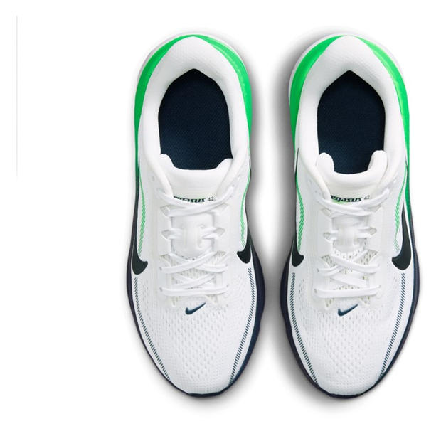 White/Green - Nike - Kids Nike Pegasis 42 Every Day Running Shoes
