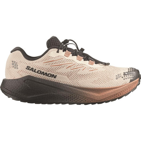 Salomon - Salomon Blaze 4 GTX Sn64