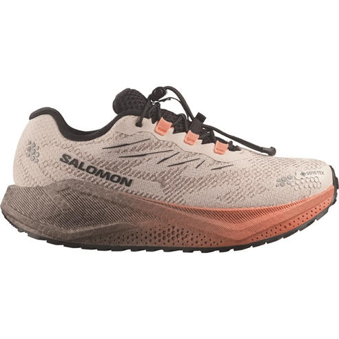 Salomon - Salomon Blaze 4 GTX Ld64