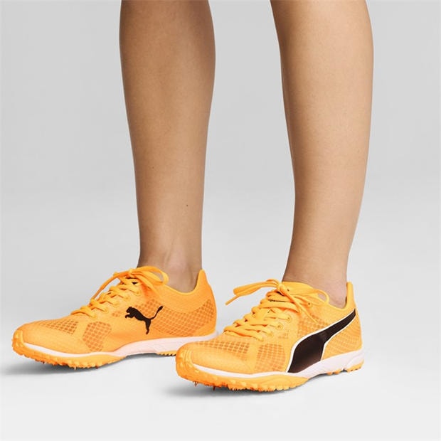 Sun Stream-Pu - Puma - Men's Evospeed Haraka 8 Track Running Spikes