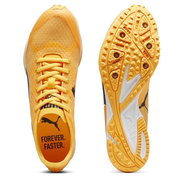Sun Stream-Pu - Puma - Men's Evospeed Haraka 8 Track Running Spikes