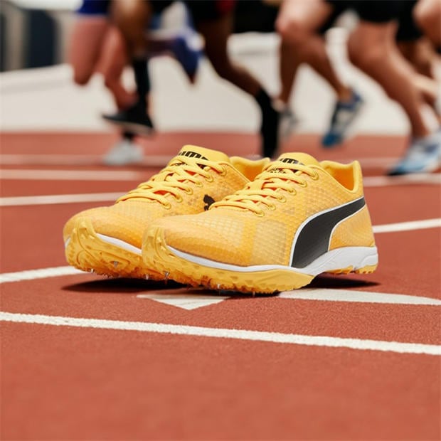 Sun Stream-Pu - Puma - Men's Evospeed Haraka 8 Track Running Spikes
