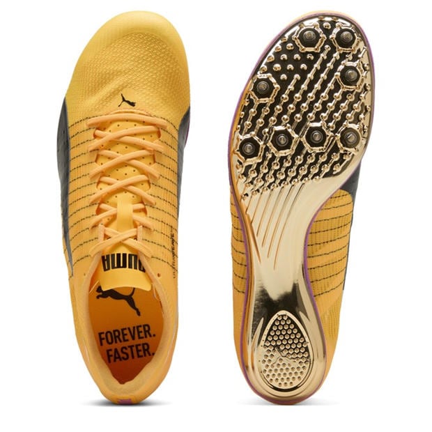 Sun Stream-Pu - Puma - Men's Evospeed Brush 6 Track Running Spikes