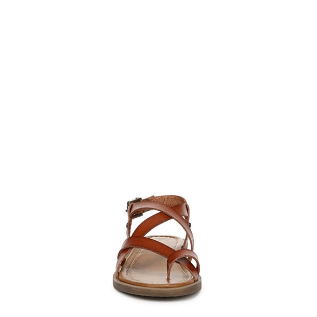 Scotch - Blowfish Malibu - Blowfis Devon 3 Stra Ld99