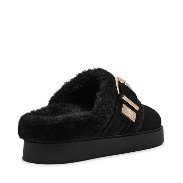 Black Suede - Steve Madden - Madden Cozy Up Mule Ld99