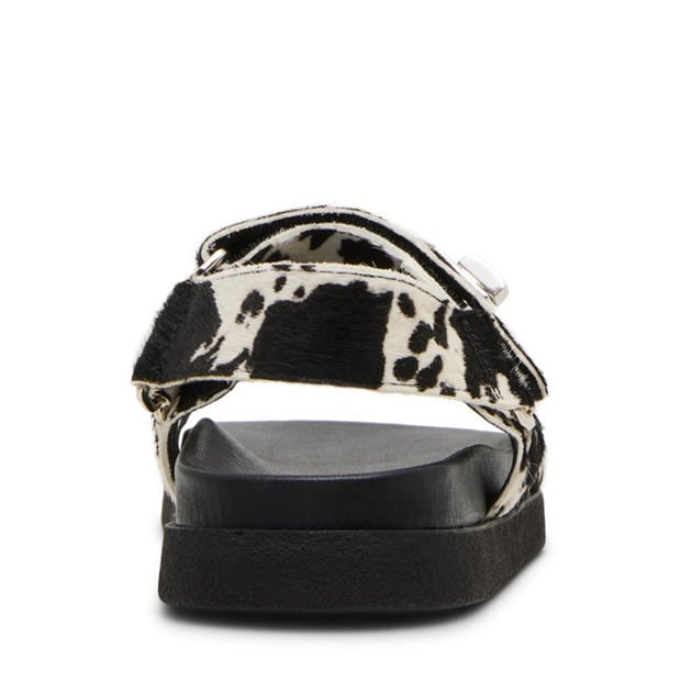 Black/White - Steve Madden - Madden Mona-C Sandal Ld99