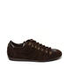 Chocolate Brown