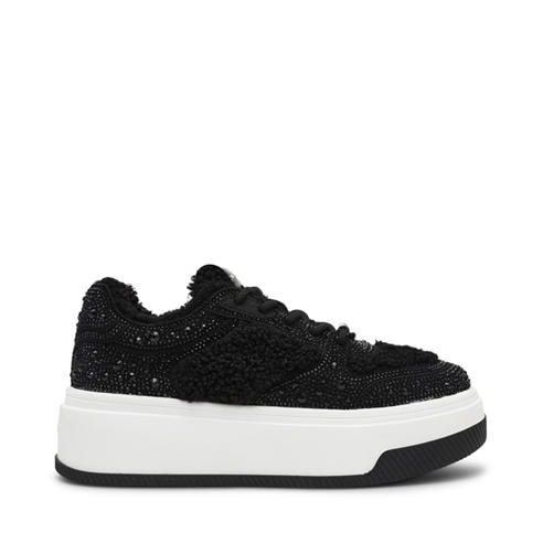 Steve Madden - Madden Dynamo-RF Tra Ld99