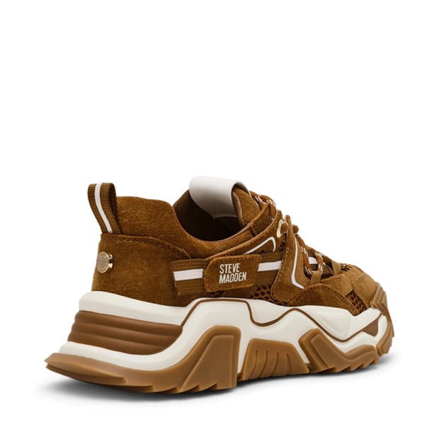 Chsnut Sue - Steve Madden - Madden Kingdom 2.0 T Ld99
