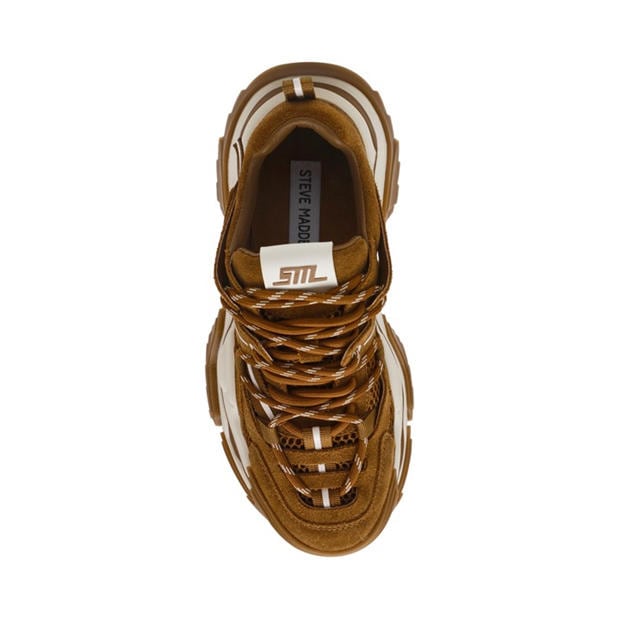 Chsnut Sue - Steve Madden - Madden Kingdom 2.0 T Ld99