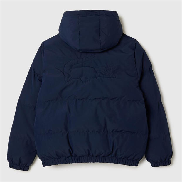 Navy - Lacoste - Padded Jacket