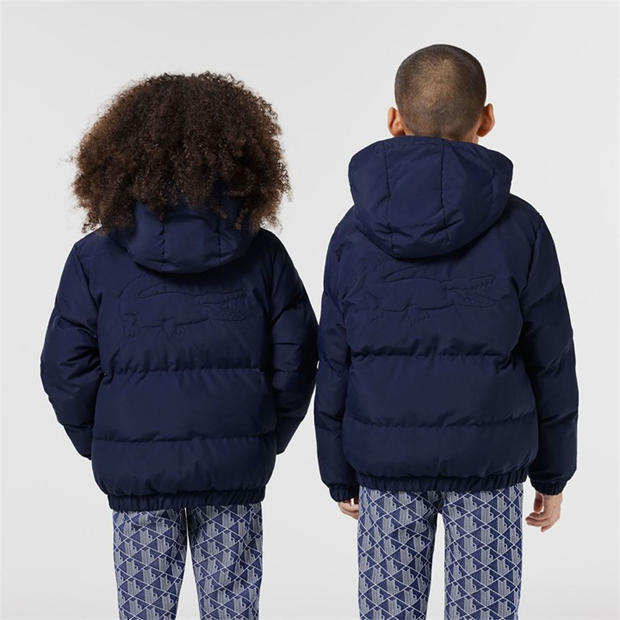 Navy - Lacoste - Padded Jacket