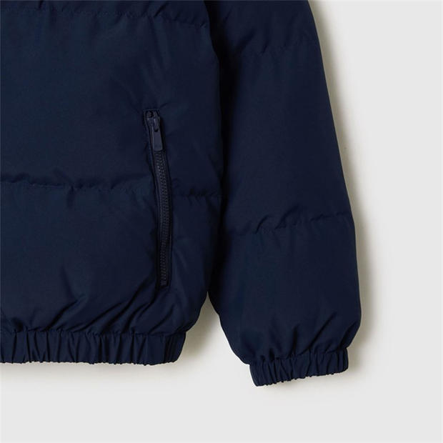 Navy - Lacoste - Padded Jacket
