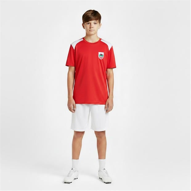Red - FIFA - Kids Wales Short Sleeve T-Shirt