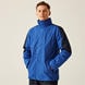 Royal Blue Navy