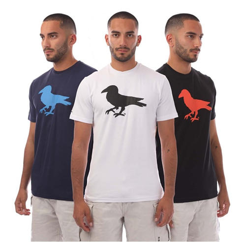 Modern Amusement - 3 Pack of Cali Crown Print T-Shirt