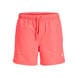 Hot Coral
