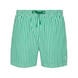 Stripe/Green