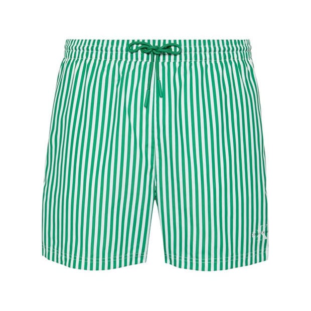 Stripe/Green - Calvin Klein - Men's Swim Shorts