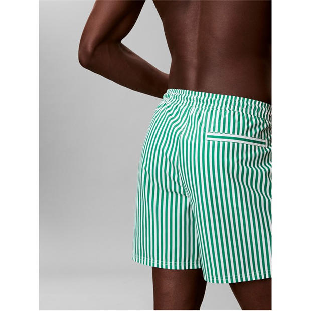 Stripe/Green - Calvin Klein - Men's Swim Shorts