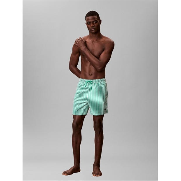 Stripe/Green - Calvin Klein - Men's Swim Shorts