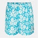 Blue Hib