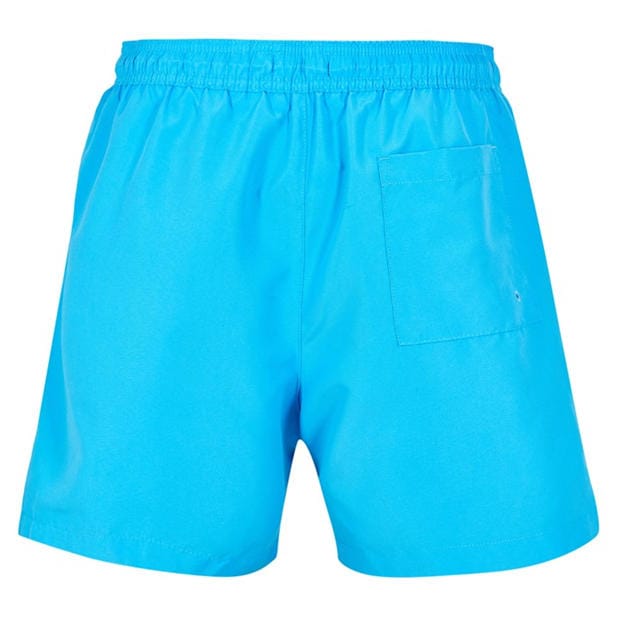 Blue Crush 26 - Calvin Klein - Large Logo Swim Shorts