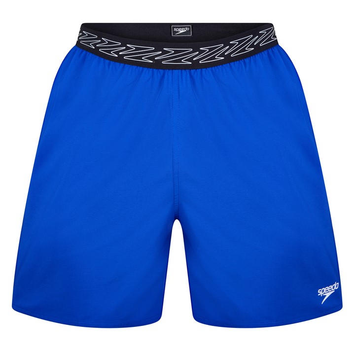 Speedo Men's Blue Swim Shorts in Size XS, Sports Direct