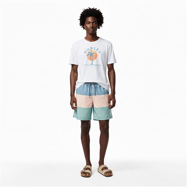Blue/Brown - Hurley - Men's Swim Shorts