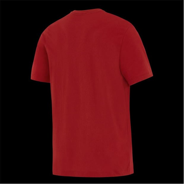 Pepper Red/Wht - Nike - Men's British and Irish Lions Short Sleeve Performance T-Shirt