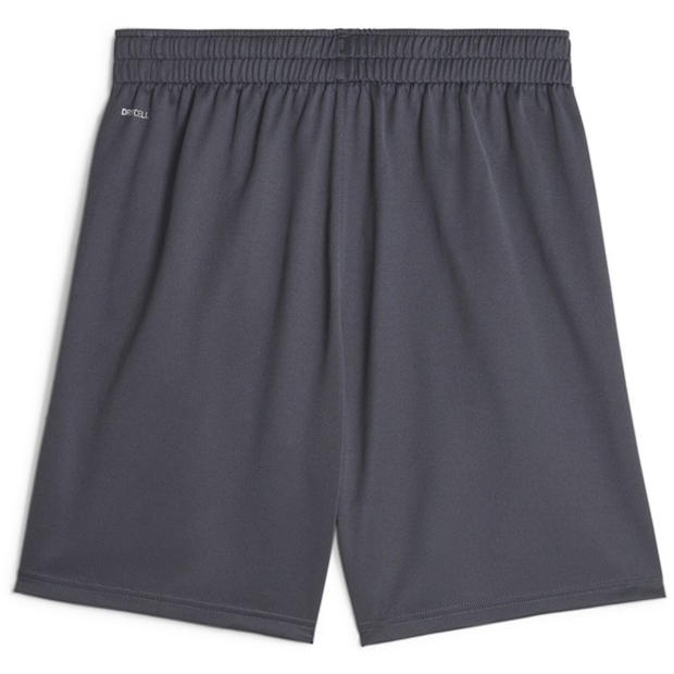 Strong Grey - Puma - Mcfc Training Shorts Football Short Mens