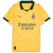 Yellow/Green